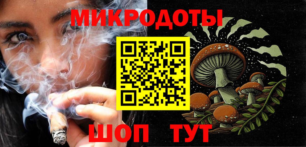 Псилоцибиновые грибы Psilocybine cubensis Тосно