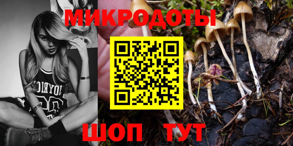 Тосно  Галлюциногенные грибы мухоморы  Вход с VPN  Псилоцибиновые грибы Cubensis 